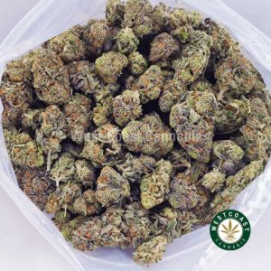 Buy weed Cheese Quake AAAA (Popcorn Nugs) wc cannabis weed dispensary & online pot shop