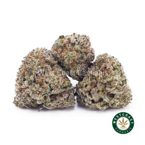 Buy weed Lemonade Punch AAAA (Popcorn Nugs) wc cannabis weed dispensary & online pot shop