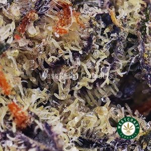 Buy weed Lemonade Punch AAAA (Popcorn Nugs) wc cannabis weed dispensary & online pot shop
