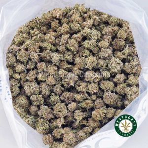 Buy weed Lemonade Punch AAAA (Popcorn Nugs) wc cannabis weed dispensary & online pot shop