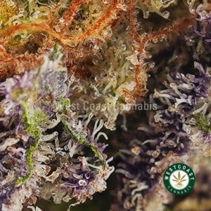 Buy weed Cherry Pie AA wc cannabis weed dispensary & online pot shop