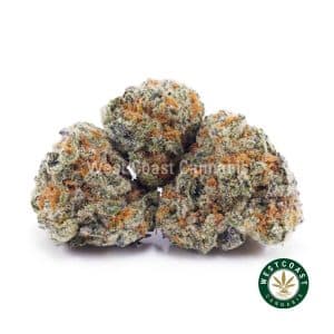 Buy weed Frosty Gelato AAAA (Popcorn Nugs) wc cannabis weed dispensary & online pot shop