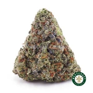 Buy weed Mango Dragonfruit Kush AA wc cannabis weed dispensary & online pot shop