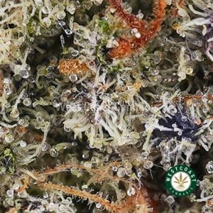 Buy weed Mango Dragonfruit Kush AA wc cannabis weed dispensary & online pot shop