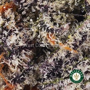 Buy weed Grape Cream Cake AAAA wc cannabis weed dispensary & online pot shop Buy weed Grape Cream Cake AAAA wc cannabis weed dispensary & online pot shop