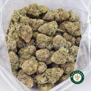 Buy weed Lemon OG AAA wc cannabis weed dispensary & online pot shop Buy weed Lemon OG AAA wc cannabis weed dispensary & online pot shop