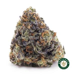 Buy weed Dragon Fruit Kush AAA wc cannabis weed dispensary & online pot shop Buy weed Dragon Fruit Kush AAA wc cannabis weed dispensary & online pot shop