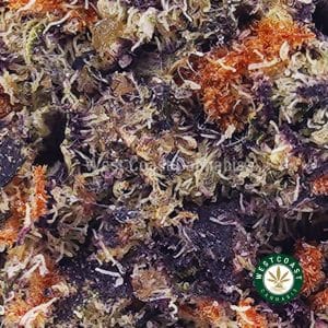 Buy weed Grape Runtz AAAA (Popcorn Nugs) wc cannabis weed dispensary & online pot shop Buy weed Grape Runtz AAAA (Popcorn Nugs) wc cannabis weed dispensary & online pot shop