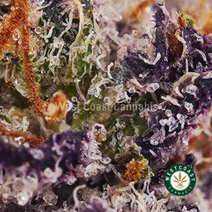 Buy weed Supreme Gelato AAAA+ wc cannabis weed dispensary & online pot shop