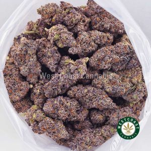 Buy weed Supreme Gelato AAAA+ wc cannabis weed dispensary & online pot shop