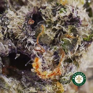 Buy weed Rainbow Cupcake AAAA wc cannabis weed dispensary & online pot shop