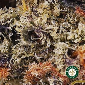 Buy weed Hindu Skunk AAA wc cannabis weed dispensary & online pot shop