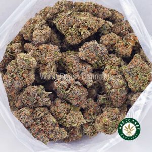 Buy weed Hindu Skunk AAA wc cannabis weed dispensary & online pot shop