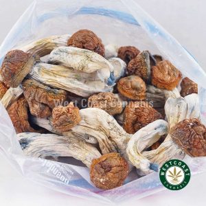 Buy Shrooms - Texas Penis Envy wc cannabis weed dispensary & online pot shop