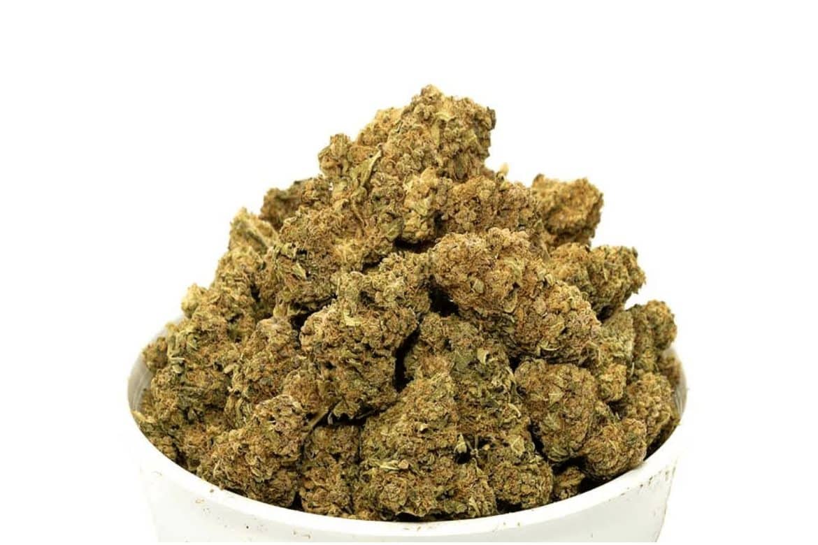 What is the Sour Diesel Sativa strain & how does it make you feel? This review discusses its origins, terpenes & where to buy it online.