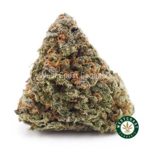Buy weed Super Lemon Skunk AAA wc cannabis weed dispensary & online pot shop
