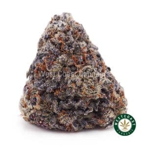 Purple Rose weed in Canada for sale online at West Coast Cannabis online pot shop and mail order marijuana cannabis weed dispensary to buy budget buds online.