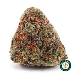 Buy weed Biscotti Pie AAA wc cannabis weed dispensary & online pot shop