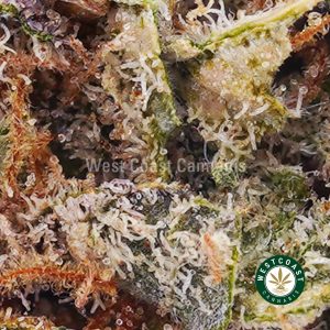 Ice Wreck AA strain & budget buds from West Coast Cannabis online weed dispensary and mail order marijuana pot shop to buy weed, dab pens, shatter & cannabis products.