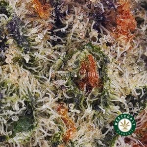 Buy weed Lemon Cherry Gelato AAAA (Popcorn Nugs) wc cannabis weed dispensary & online pot shop