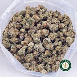 Buy weed Lemon Cherry Gelato AAAA (Popcorn Nugs) wc cannabis weed dispensary & online pot shop