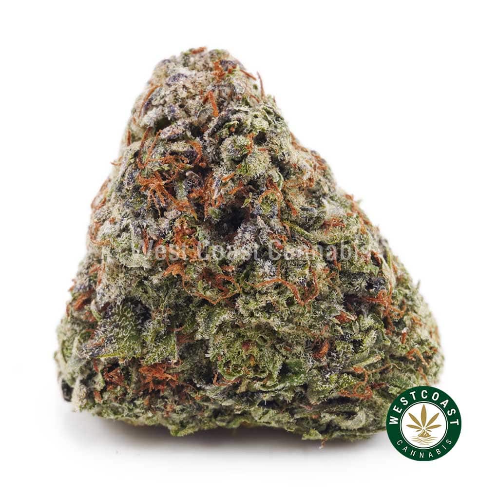 Buy weed Pineapple Kush AA wc cannabis weed dispensary & online pot shop Pineapple Kush budget buds and cheap canna BC bud online from WCC cannabis dispensary and mail order marijuana weed store to buy weed online in Canada.