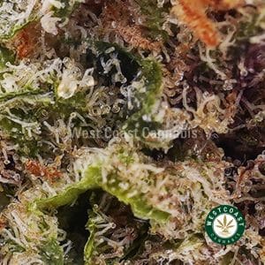 Buy weed Green Dragon AAA wc cannabis weed dispensary & online pot shop Buy weed Green Dragon AAA wc cannabis weed dispensary & online pot shop