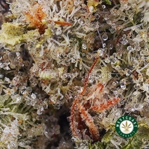 Corleone Kush AAA strain and cheap canna BC bud online from WCC cannabis dispensary and mail order marijuana weed store to buy weed online in Canada.