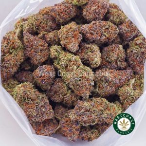 King Kush AA weed & budget buds online at West Coast Cannabis online weed dispensary and mail order marijuana pot shop for cannabis concentrates, shatter, THC edibles and THC vapes.