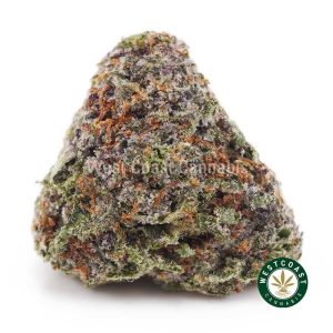 Purple Punch AAA budget buds and cheap canna BC bud online from WCC cannabis dispensary and mail order marijuana weed store to buy weed online in Canada.