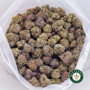 Purple Punch AAA budget buds and cheap canna BC bud online from WCC cannabis dispensary and mail order marijuana weed store to buy weed online in Canada.