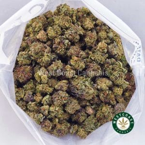 Buy weed Master Kush Ultra AAAA (Popcorn Nugs) wc cannabis weed dispensary & online pot shop