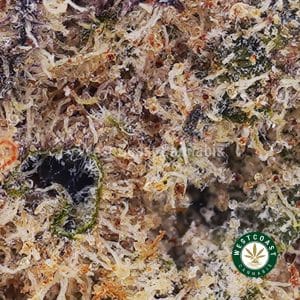 Buy weed Gas Monkey AAAA (Popcorn Nugs) wc cannabis weed dispensary & online pot shop