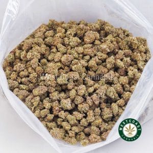 Buy weed Gas Monkey AAAA (Popcorn Nugs) wc cannabis weed dispensary & online pot shop