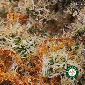 Buy weed Ice Wine AAAA (Popcorn Nugs) wc cannabis weed dispensary & online pot shop