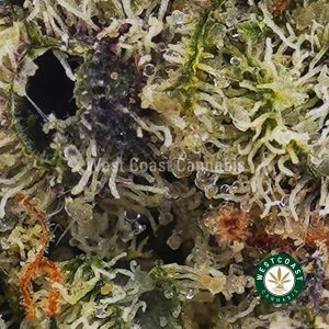 Buy weed Lemon Skunk AAAA (Popcorn Nugs) wc cannabis weed dispensary & online pot shop