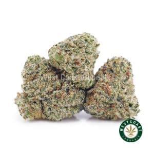 Buy weed Holy Zaza AAAA (Popcorn Nugs) wc cannabis weed dispensary & online pot shop