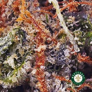 Buy weed Ice Cream Cake AAAA wc cannabis weed dispensary & online pot shop