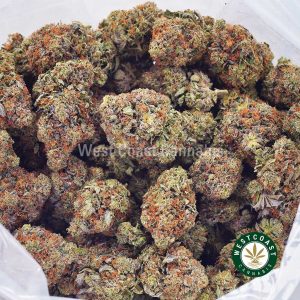 Buy weed Ice Cream Cake AAAA wc cannabis weed dispensary & online pot shop