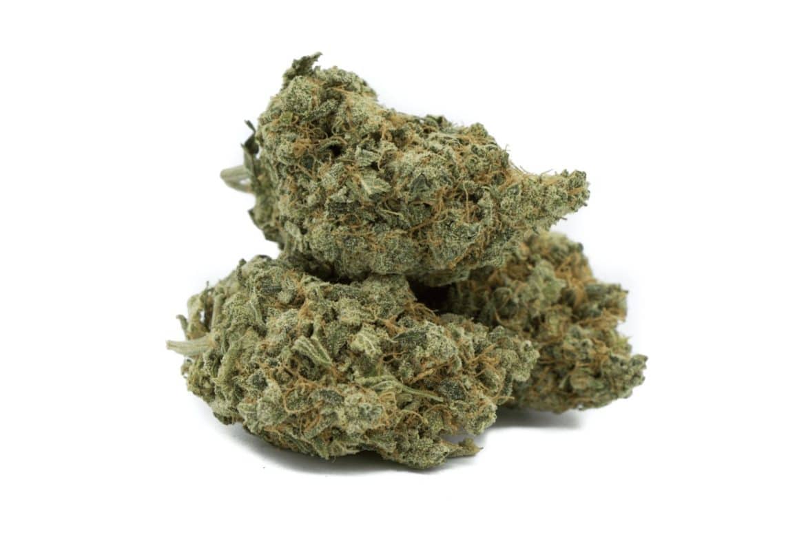 Love Potion strain is a true definition of “love potion.” Looking to spice things up in the bedroom with your significant other? Read blog.