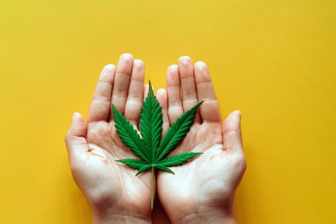 Online pot shop are here to redefine the Canadian cannabis culture. Read this blog to find out why you should buy weed from an online store.