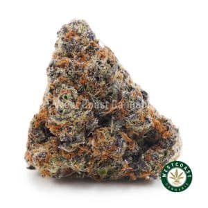 Buy weed Rainbow Driver AAAA wc cannabis weed dispensary & online pot shop
