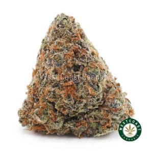 Buy weed Rainbow Sherbert AAAA wc cannabis weed dispensary & online pot shop