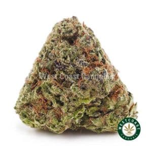 Buy weed Orange Creamsicles AAAA wc cannabis weed dispensary & online pot shop