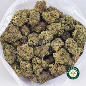 Buy weed Orange Creamsicles AAAA wc cannabis weed dispensary & online pot shop Buy weed Orange Creamsicles AAAA wc cannabis weed dispensary & online pot shop