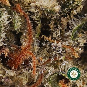 Buy weed Strawberry Lemonade AAAA (Popcorn Nugs) wc cannabis weed dispensary & online pot shop Buy weed Strawberry Lemonade AAAA (Popcorn Nugs) wc cannabis weed dispensary & online pot shop