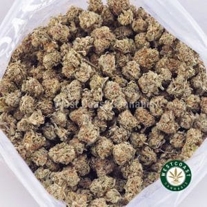 Buy weed Strawberry Lemonade AAAA (Popcorn Nugs) wc cannabis weed dispensary & online pot shop Buy weed Strawberry Lemonade AAAA (Popcorn Nugs) wc cannabis weed dispensary & online pot shop