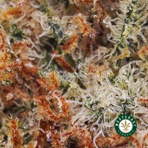 Buy weed Guava Cake AAA wc cannabis weed dispensary & online pot shop