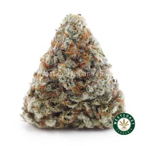 Buy weed White Russian AAA wc cannabis weed dispensary & online pot shop