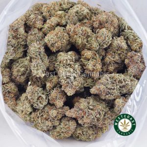 Buy weed White Russian AAA wc cannabis weed dispensary & online pot shop